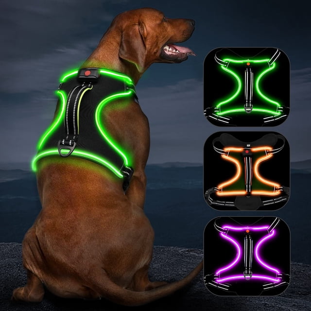 Chaleco de perro iluminado Vizbrite LED recargable para perros