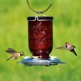 thumbnail image 2 of Comedero para colibríes Perky-Pet Mason Jar 946 ml, color rojo vintage, 2 of 9