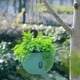 thumbnail image 4 of Maceta colgante para plantas de interior y exterior | Diseño con barrera de agua que previene la pudrición de las raíces | Maceta pequeña de plástico para suculentas, hiedra y rosas verdes, 4 of 6
