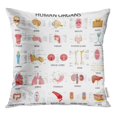 thumbnail image 1 of RYLABLUE Anatomie Vector Illustration de Carte Complète Différents Organes Humains Coussin Taie d'Oreiller Housse de Protection, 1 of 1