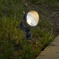 thumbnail image 3 of C Cattleya 12-Pack Outdoor LED Landscape Spotlight with Ground Stakes for Garden Pathway and Courtyard, 3 of 8
