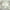 Green Popular pick, variant on kkbbma Clearance under $5 Rod Pocket Sheer Curtain, Sheer Curtains 39 X 78 Inches, Embroidered Peony Pattern Pocket Floral Semi Sheer Voile Window Curtains/Drapes for Bedroom Living Room,1 Panel