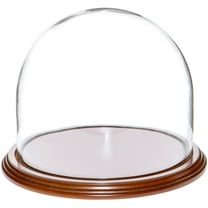 Plymor 8" x 6.5" Glass Display Dome Cloche (Walnut Veneer Base)