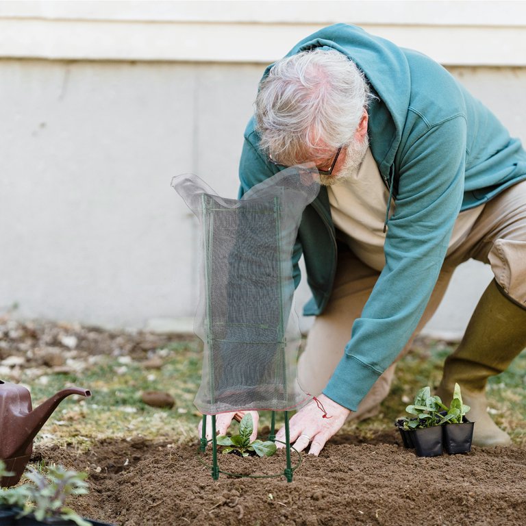 棘.PLANTS Amazon.com : Yotoworth Garden Arch Arbor Trellis for