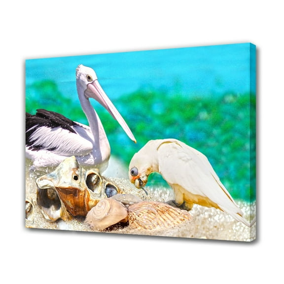 A White Pelican and A Parrot Foraging on Beach with Colorful Shells and Tranquil Waters Canvas Poster Bedroom Decor Sports Landscape Office Room Decor Gift,Frame-style,08x12inch(20x30cm)