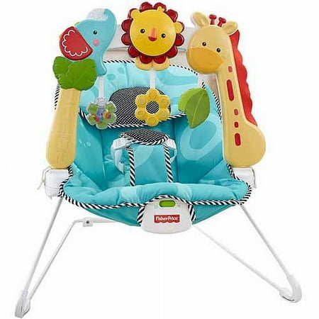 Fisher-Price 2-in-1 Sensory Stages Bouncer