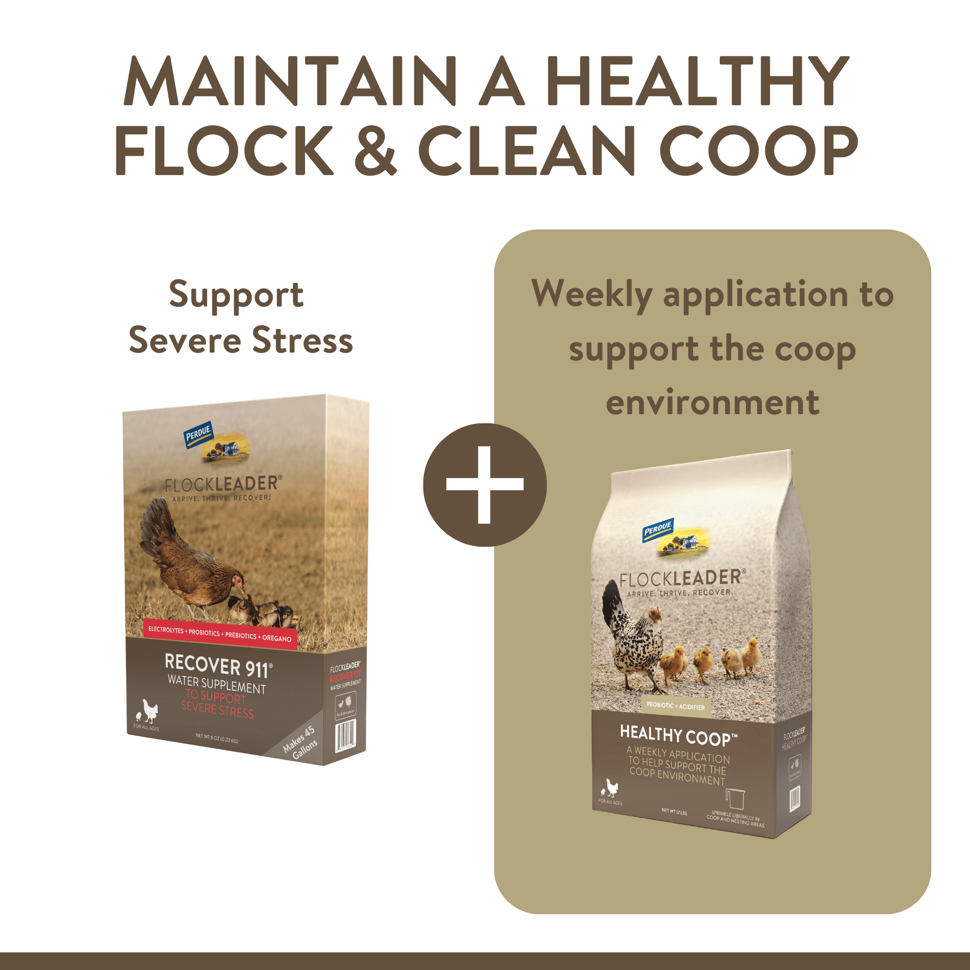 FlockLeader Recover 911 Poultry Supplement for Chickens, 2.5 Ounce