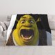 thumbnail image 1 of Manta de aire acondicionado Shrek, manta de felpa de franela suave, manta de cama, manta de sofá para adolescentes, niños, niñas, niños, hombres, mujeres, 1 of 8
