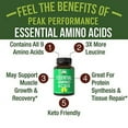 All 9 Essential Amino Acids Supplement. Capsules with 3X More Leucine