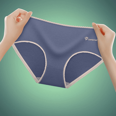 Fulorrnie Seamless Women s Underwear Lace Trim No Show Panties for Everyday Comfort Mid Rise Lace Edge Brief Panty  Dark Gray  XXL