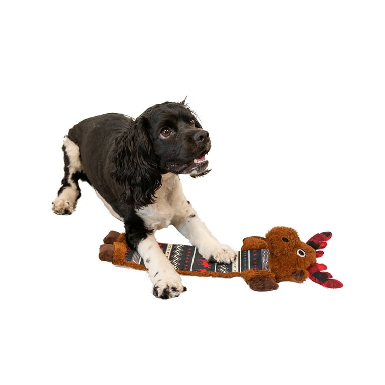 Chew toys top for dogs walmart