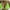#Green, variant on TEVEQ Bikini Tops for Women Women's Triangle Bikini Tops String Halter Push Up Padded Swimsuit Top Bag Plus Size Beach Bikini Large Backless Swimsuit Top for Women Beige L