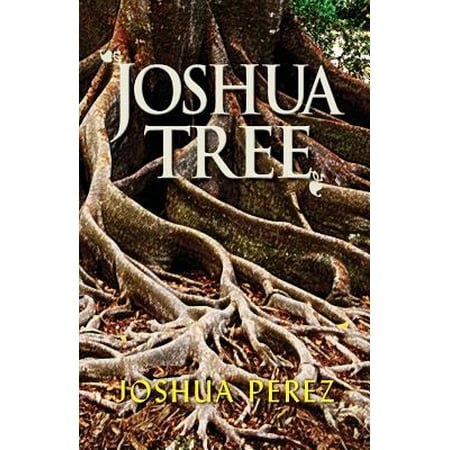 Joshua Tree (Best Time To Go To Joshua Tree)