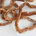 thumbnail image 4 of Pesca Gusanos de arena secos Señuelo de pesca Alimentador de agua salada Gusanos Peces de mar Olor Cebos blandos Ehuebsd  Para Estrenar, 4 of 5