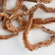 thumbnail image 5 of Señuelo de pesca de gusanos de arena secos, gusanos alimentadores de agua salada, olor a pescado de mar, cebos blandos, 5 of 5