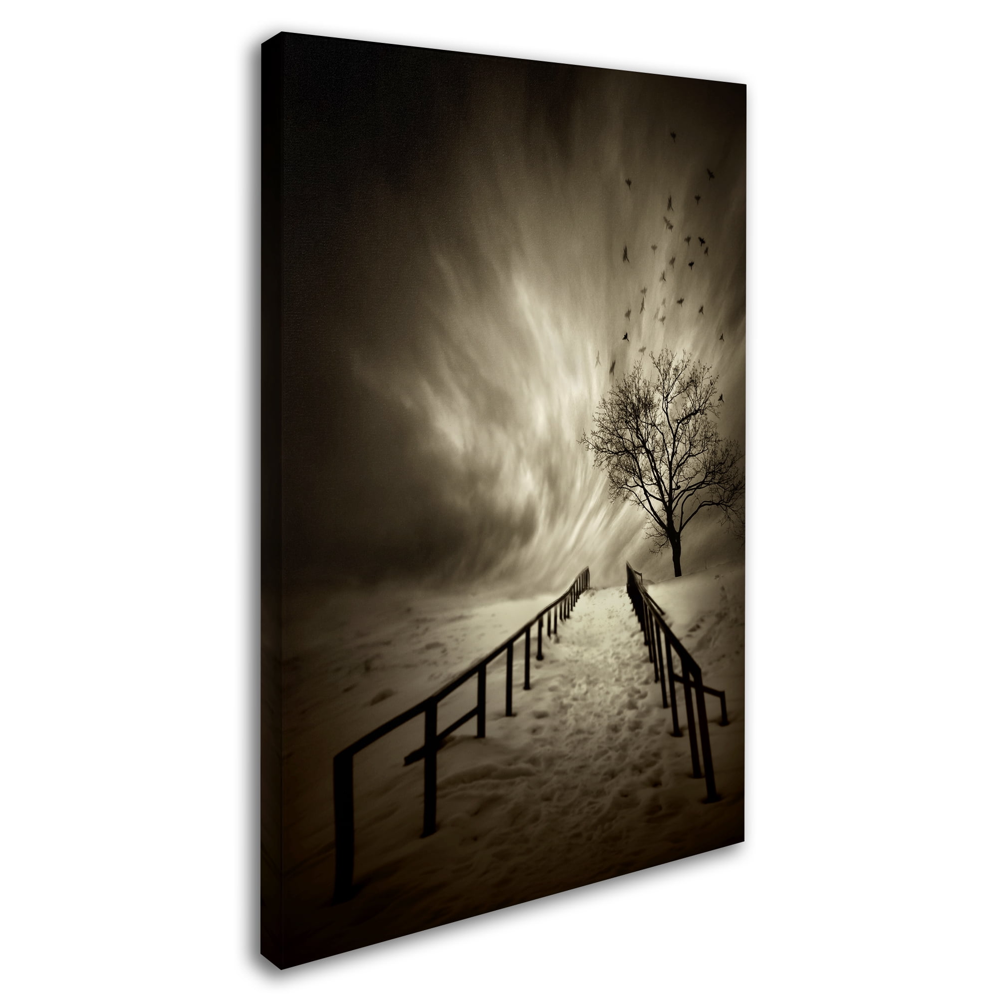 David Senechal 'Stairs To The Sanctuary' Canvas Art