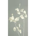 thumbnail image 2 of Westum, Heidi 10x14 Black Ornate Wood Framed with Double Matting Museum Art Print Titled - Peaceful, 2 of 4