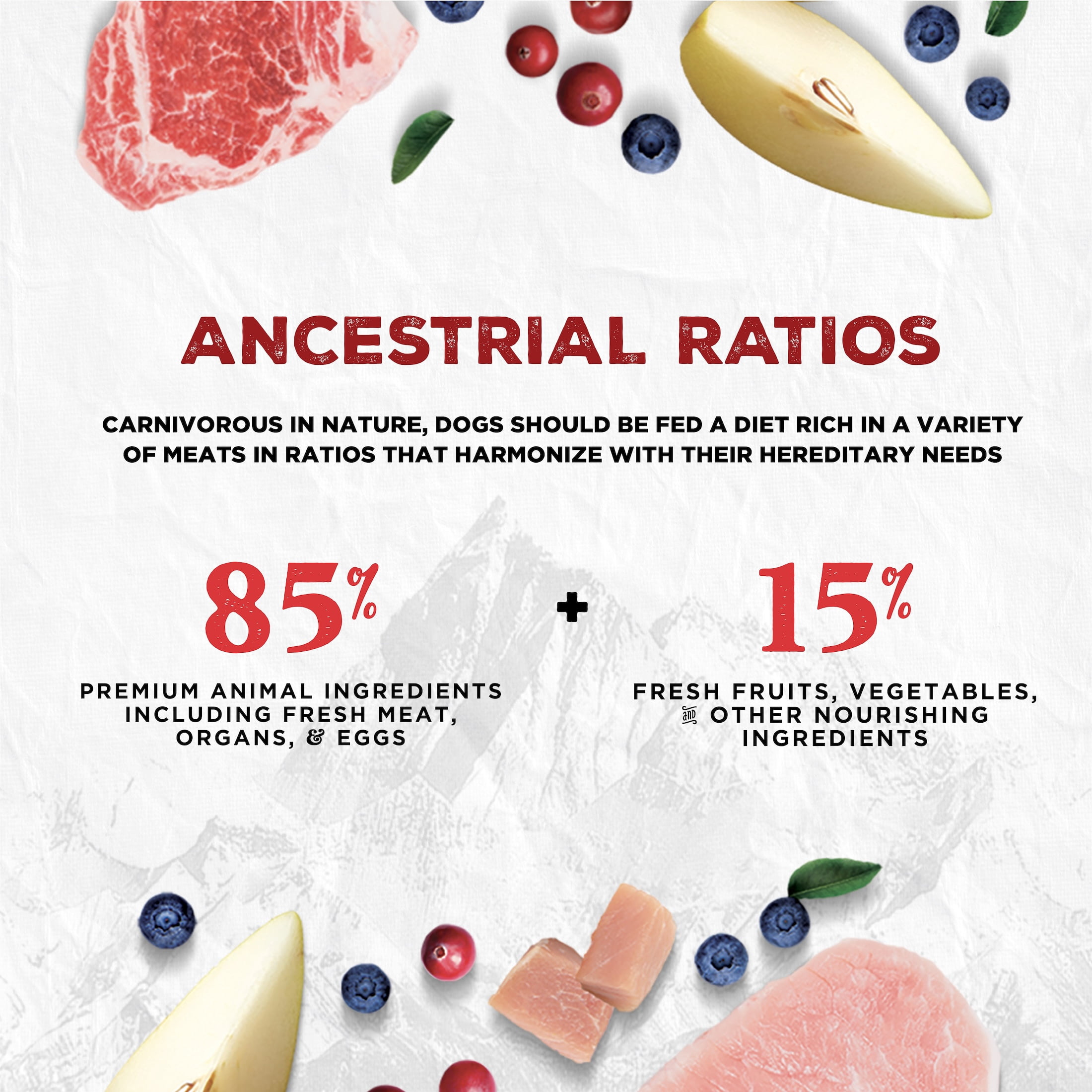 COEVO | Freeze-Dried Raw Open Plains Beef, Pork, & Bison Recipe for Dogs • 1lb / 454g | Skin & Coat, Bone & Joint, and Digestive Support | High Protein Grain Free Dry Dog Food