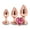 Gold, variant on Rear Assets 3-Piece Metal Plug Kit Rose Gold/Pink Heart