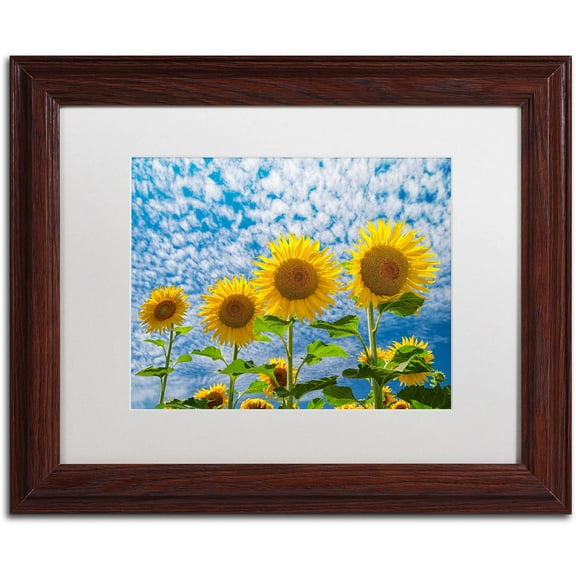 Trademark Fine Art "The Four Sisters" Canvas Art by Michael Blanchette Photography White Matte, Wood Frame