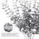 thumbnail image 5 of CIMAXIC 20Ud Follaje Artificial De Con Aspecto En Color Plata Para Decoraciones Versátiles, 5 of 6