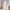 Pink, variant on Erosebridal 3D Axolotl Curtains for Living Room, Watercolor Artwork 30%-50% Blackout Curtains Set of 2 (38x45), Cute Animal Curtains Pack of 2, Bedroom Curtains Room Decorative
