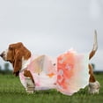 thumbnail image 1 of COMPUKAS Princess Dog Dress with Comfortable Lightweight Fabric Costume, 1 of 6