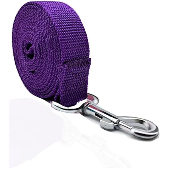 Eryueer 4FT/5FT/6FT Strong Dog Leash, Nylon Dog Leashes for Small Medium Large Dogs (Purple, 1 in x 15 ft)