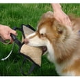 thumbnail image 3 of Almohada 3 , Gran Juguete de para Perros Adultos Jóvenes Sunnimix Almohada de entrenamiento para perros, 3 of 8