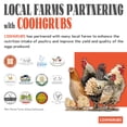 thumbnail image 4 of Snack para gallinas COOHGRUBS larvas de mosca soldado negra BSF 2,27 kg alto en proteína, 4 of 8