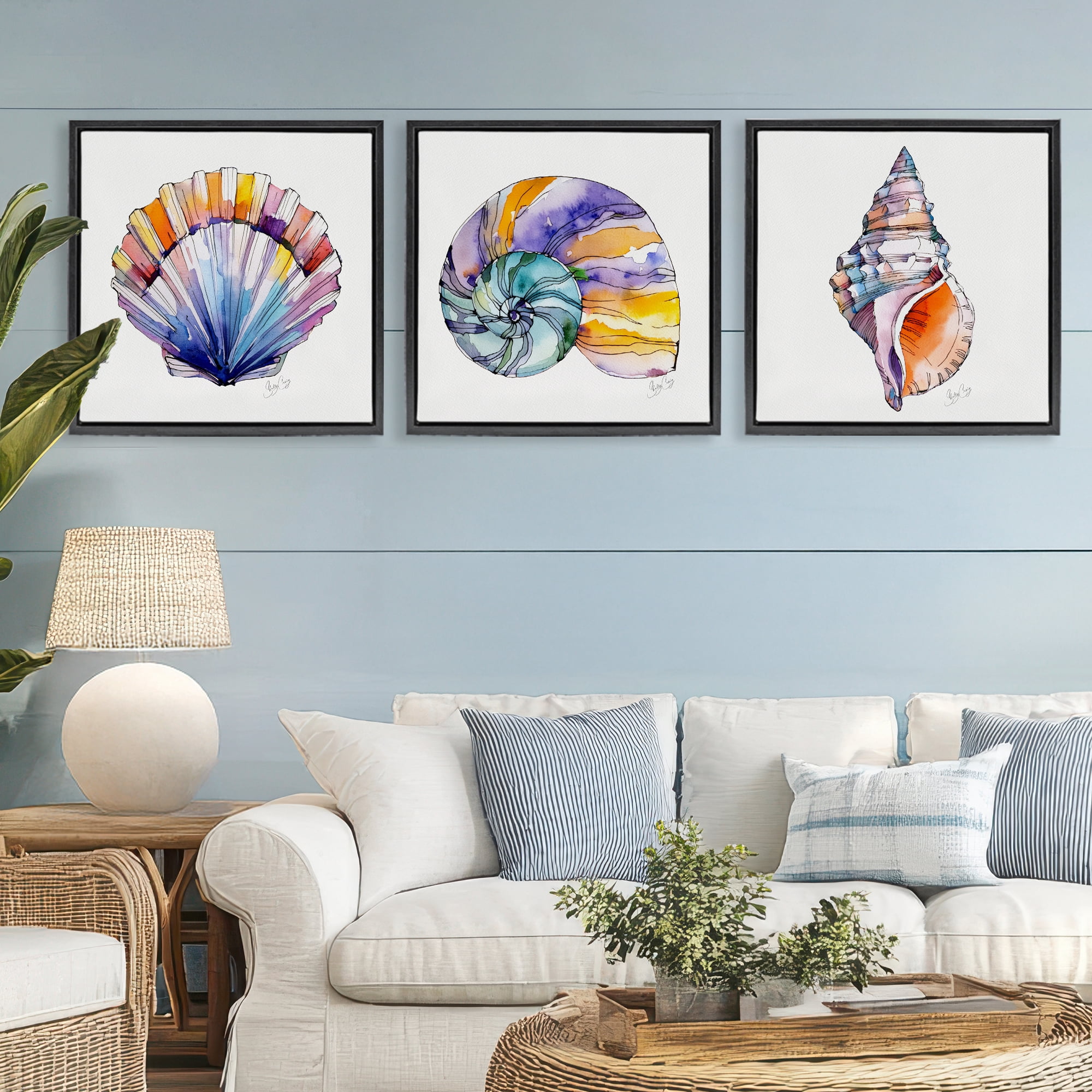 Stupell Industries Sunlit Seashells Watercolors 3 Piece Black Framed Floater Canvas Set, design by Shelly Craig