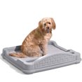 thumbnail image 2 of Step2 Close N Cozy Hideaway Comfortable Dog Bed for Small to Medium Dogs, Gray, 2 of 5