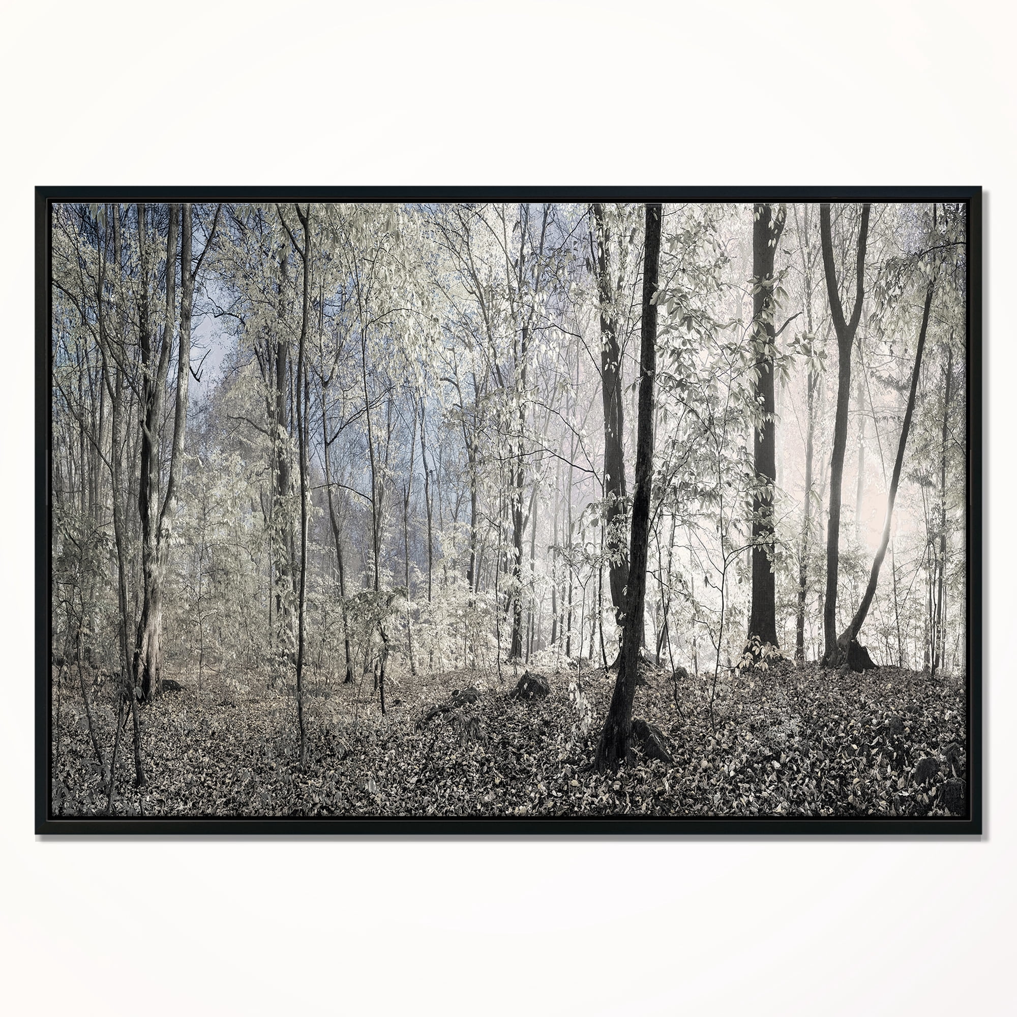 Designart ' Dark Morning in Forest Panorama ' Large landscape Framed Canvas Art Print