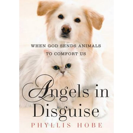 Angels in Disguise: When God Sends Animals to Comfort Us