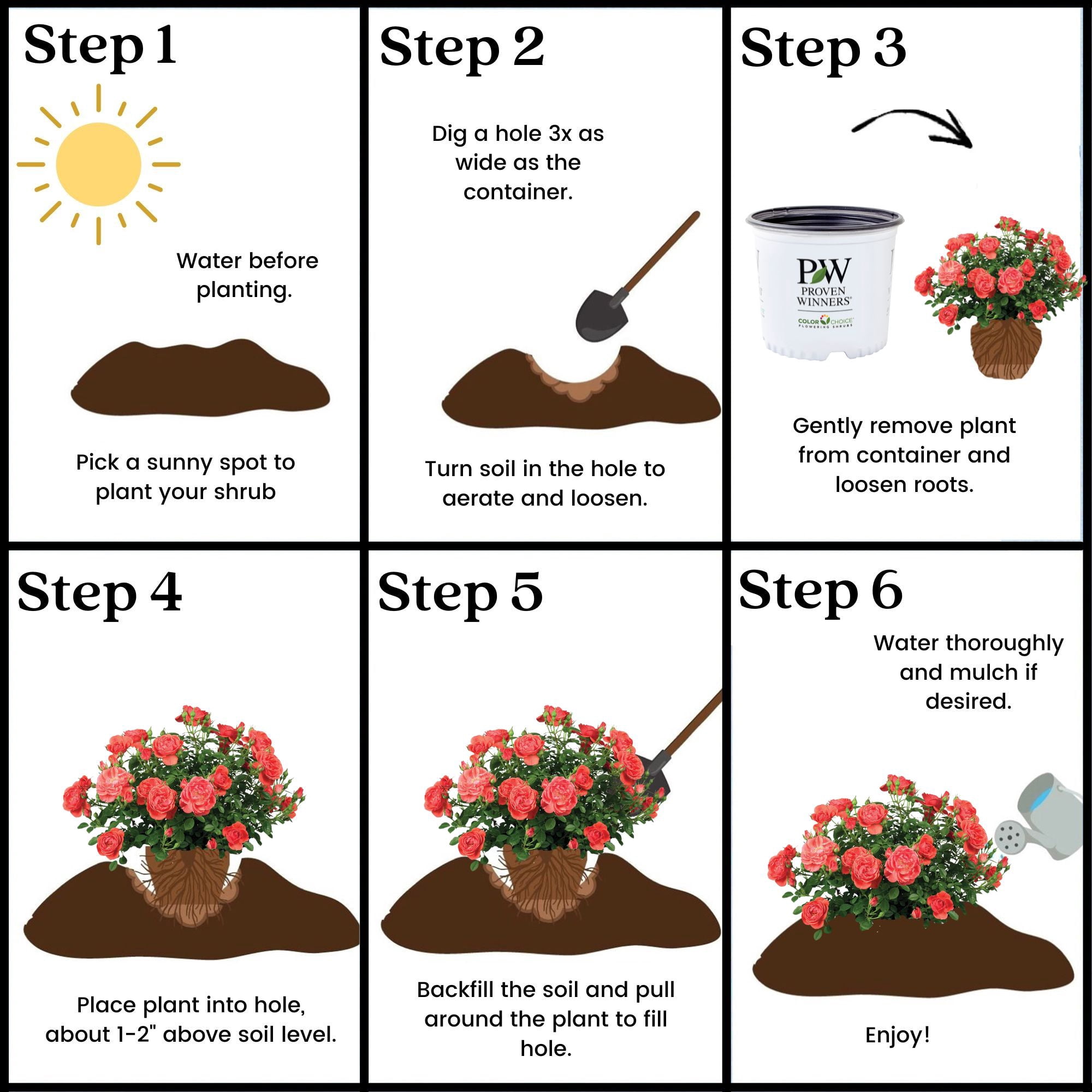 Proven Winners ColorChoice Oso Easy Mango Salsa Rose Live Shrub (2 Gallon)