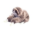 thumbnail image 1 of lionlar Sloth Toy Cartoon Huggable Three Toed Sloth Sloth Doll for Family Kids, 1 of 9