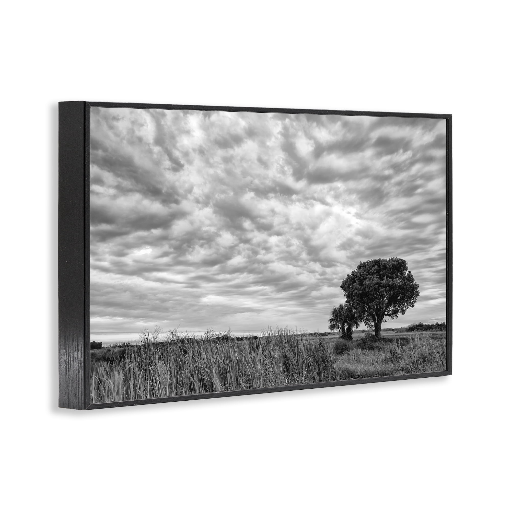 Stupell Industries Solitary Tree Beneath Clouds Black Framed Giclee Art, design by Jon Evan