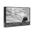 thumbnail image 2 of Stupell Industries Rustic Lodge Solitary Tree Beneath Clouds Black Framed Giclee Art, 18 x 12, by Jon Evan, 2 of 8