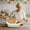 Beige, variant on Cotton Rope Bread Basket with Liner & Leather Handles, Oval Bread Storage Basket for Kitchen, Serving Basket for Homemade Bread, Rolls and Pastries
