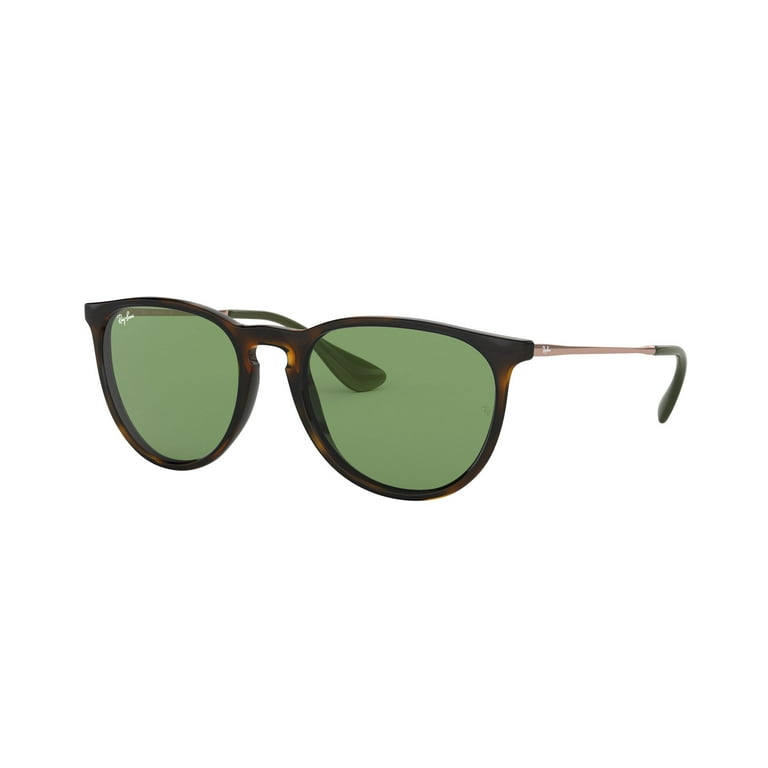 【新発売】 Ray-Ban sunglasses RB4171 Erika (651611) transparent with 小物