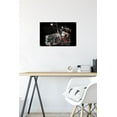 thumbnail image 6 of Disney Tim Burton's The Nightmare Before Christmas - Distorted Group Wall Poster with Push Pins, 14.725" x 22.375", 6 of 6