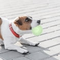 thumbnail image 3 of CSChome Pet Toys Interactive Dog Toy Bite Resistant Cleaning Relief Small Medium Large Dogs Pet Supply, 3 of 6