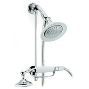 Pollenex Porcelain Handgeld and Wall Mount Shower Head Combo