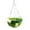 Vert, variante sur Hearth & Gear Wistiti Nid d'Oiseau Lit de Camp Balançoire Suspendue pour Cage Sommeil Chaleureux pour Perroquet Long Petit Perroquet Tourterelle Perruche Hamster et Furet Accessoires Douillets pour Cage à Oiseaux Petit Lit pour Animal au-Dessus de la Mangeoire