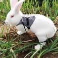 thumbnail image 4 of Fashinable Comfortable Rabbit Suit Harness Leash Cute Bunny Vest Harness and Leash Set With Button Decor for Small Animals Bunny Cats M, 4 of 9