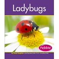thumbnail image 1 of Coccinelles, 1 of 1