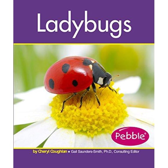Coccinelles