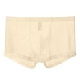 thumbnail image 5 of ruhuadgb Men Boxers Breathable Elastic Mesh Low Waist Ice Silk Cooling Anti-septic See-through Men Panties Men Underwear, 5 of 8