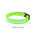thumbnail image 3 of Collar LED recargable para paseos nocturnos - Collar de seguridad para mascotas impermeable y ajustable con luz en la oscuridad USB, 3 of 7
