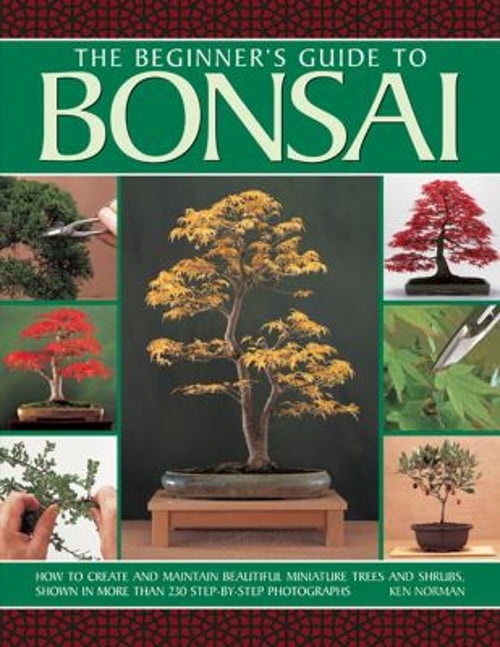Pre-Owned The Beginner's Guide to Bonsai : How To Create And Maintain ...
